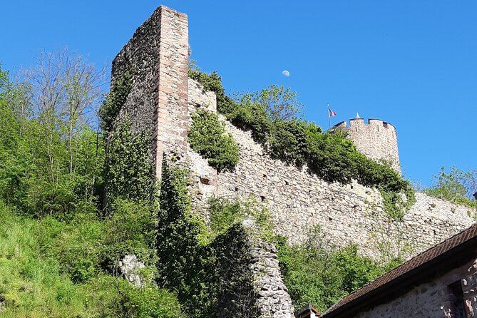 Safari Tour Village of the Vineyards: 1 Day, 4 Villages & 1 Wine Tasting - Exploring the Alsace Region