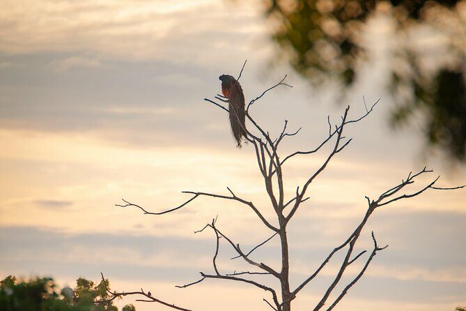 Safari tours in Udawalawa - What You Can Expect During Your Udawalawe Safari
