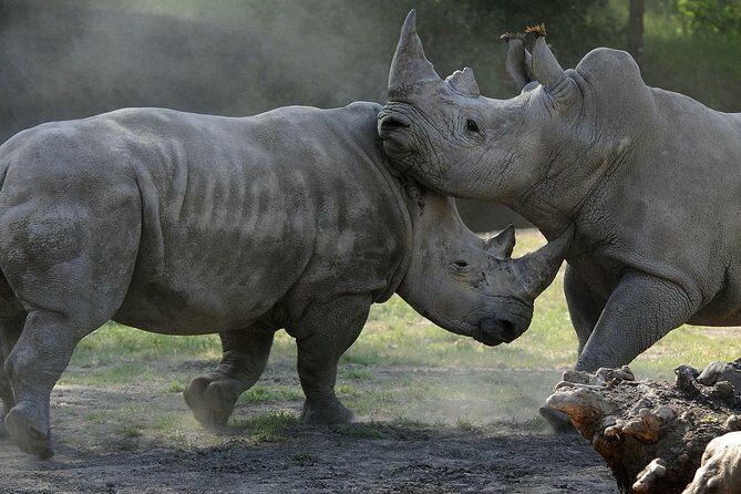 Safari West Sonoma Adventure Tour - Who Should Consider This Tour?