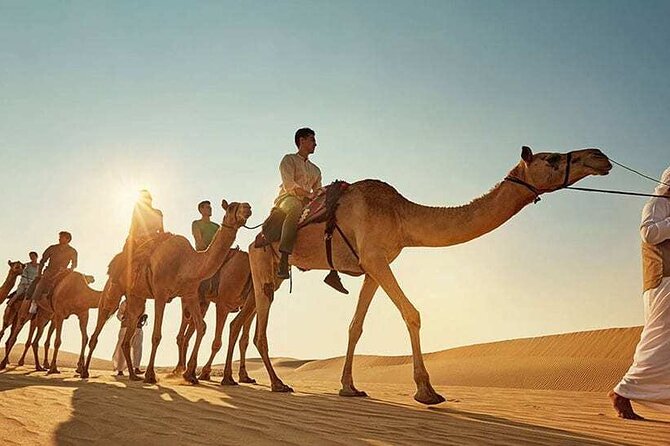 Safari With BBQ Dinner and Quad Biking - Savoring the International Buffet Dinner