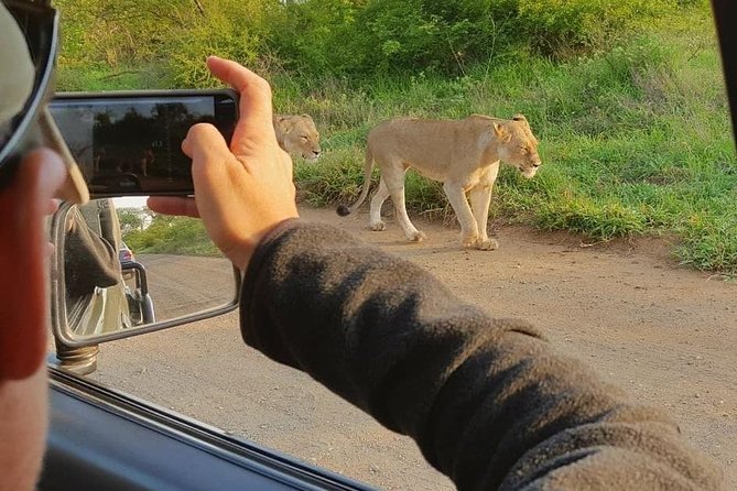 Safaris in Kruger National Park Full Day - Inclusive Tour Details