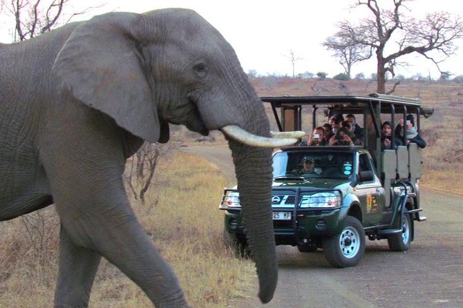 Safaris in Kruger National Park Full Day - Booking Information