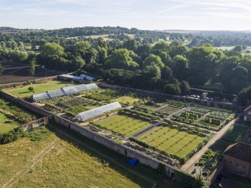 Saffron Walden: Audley End House and Gardens Ticket - Convenient Booking and Payment