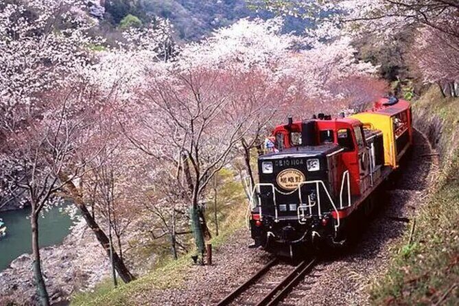 Sagano Romantic Train Ticket - The Itinerary and What to Expect