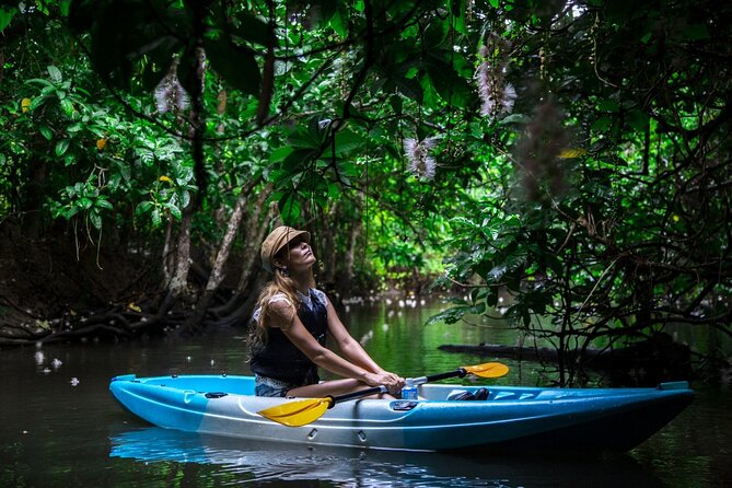 Sagaribana SUP / Canoe Tour in the Early Morning (Available Only From June to August) - Meeting and Pickup Arrangements