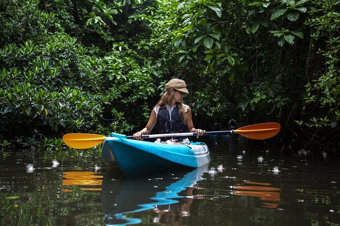 Sagaribana SUP / Canoe Tour in the Early Morning (Available Only From June to August) - Cancellation Policy