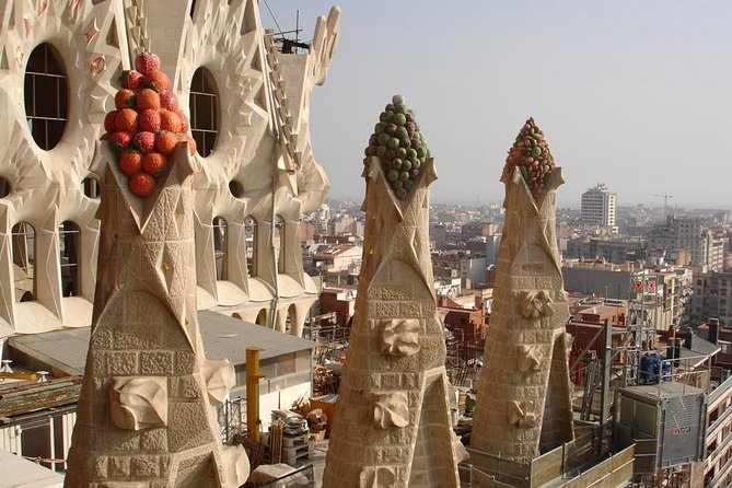 Sagrada Familia and Park Guell Family Private Tour - Tour Highlights