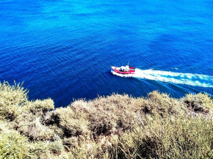 Sagres & Cape St. Vincent Half-Day Tour From Lagos - Marveling at Scenic Views