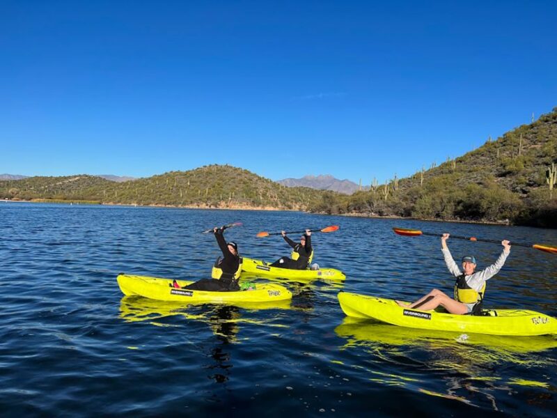 Saguaro Lake: Guided Kayaking Tour - Experience and Highlights