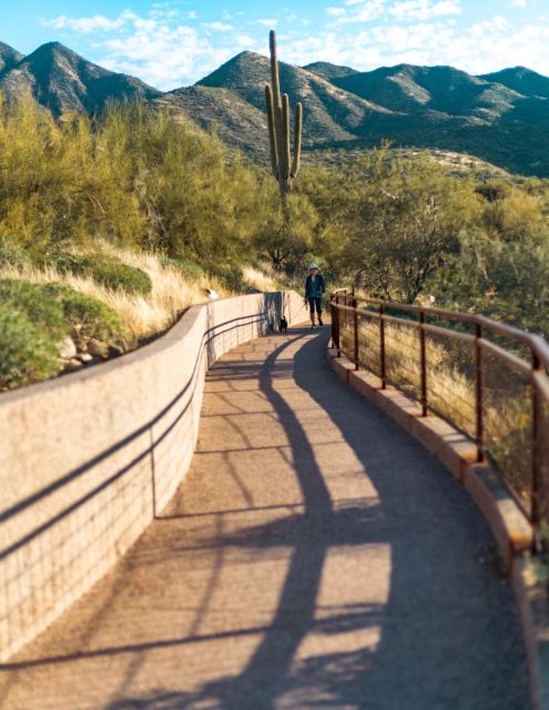 Saguaro National Park: Day Tour & Hike - Guided Experience