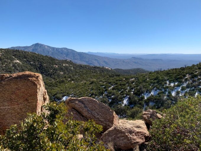 Saguaro National Park: Day Tour & Hike - Booking Information