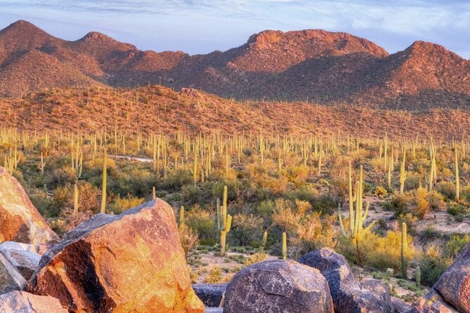 Saguaro National Park East E-Bike Tour - Riders Requirements