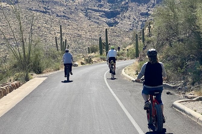 Saguaro National Park East E-Bike Tour - Suitability and Accessibility