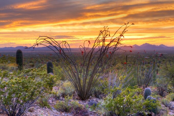 Saguaro National Park Self Guided Driving Audio Tour - Frequently Asked Questions