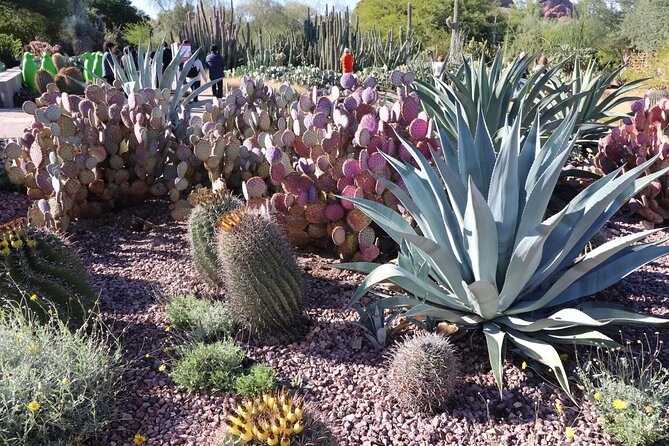 Saguaro National Park Self-Guided Driving Audio Tour - Customer Feedback