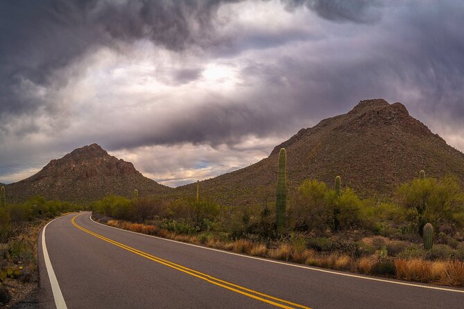 Saguaro National Park Self-Guided Driving Audio Tour - Park Highlights and Attractions