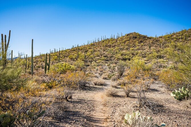 Saguaro NP and Mt. Lemmon Self Guided Driving Audio Tour Bundle - User Feedback and Experiences