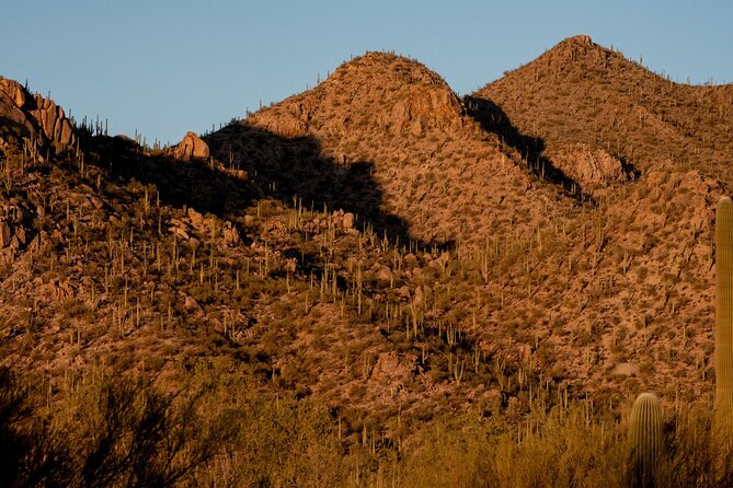 Saguaro NP and Mt. Lemmon Self Guided Driving Audio Tour Bundle - Preparation and Tips for Optimal Experience