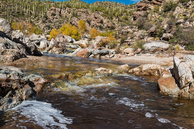 Saguaro NP and Mt. Lemmon Self Guided Driving Audio Tour Bundle - Discovering the Wonders of Mt. Lemmon
