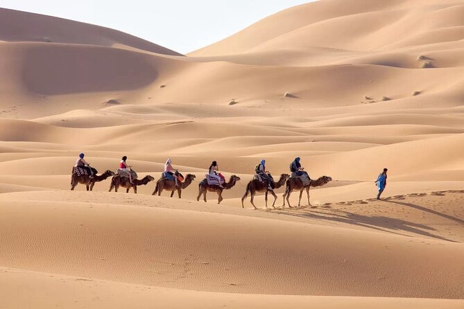 Sahara Adventure 3 Days Marrakech to Fes via Merzouga Desert Tour - Overview of the Tour