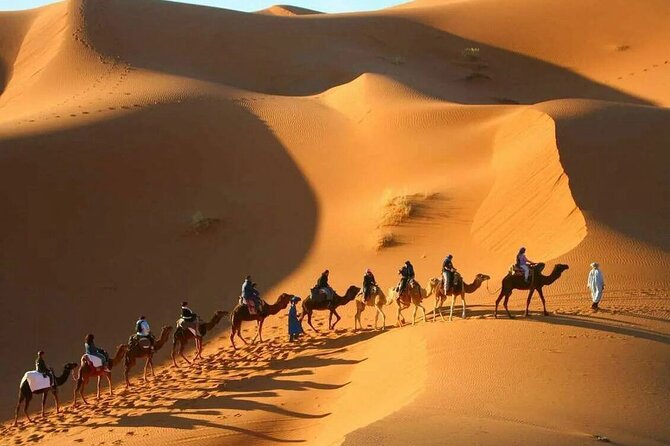 Sahara Adventure 3 Days Marrakech to Fes via Merzouga Desert Tour - Camel Trekking Experience