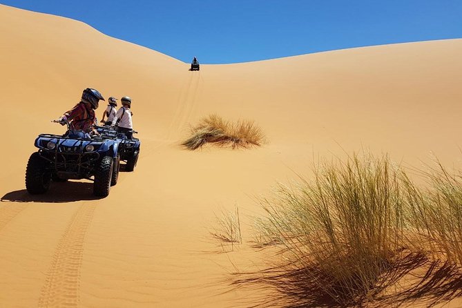 Sahara Camel Trekking - Over Night in the Camp - Overview of the Experience