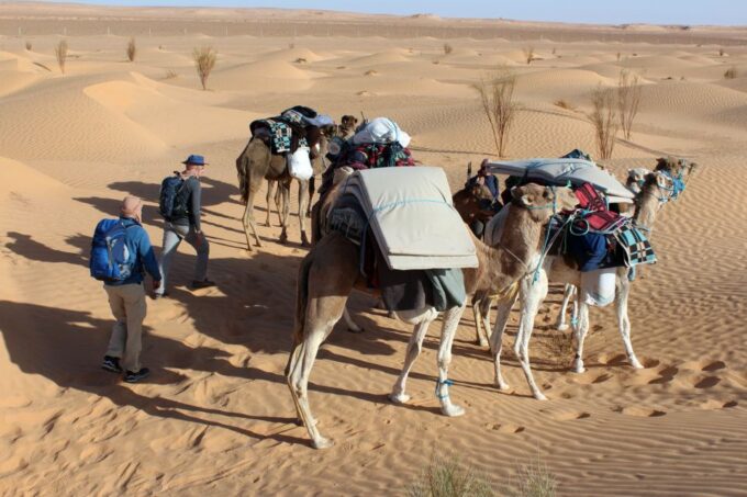 Sahara Desert: 2-Day Tour With Food and a Night in a Tent - Booking Information