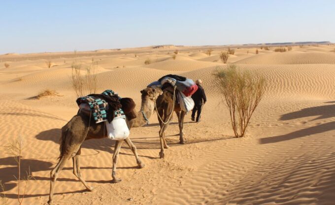 Sahara Desert: 2-Day Tour With Food and a Night in a Tent - Frequently Asked Questions