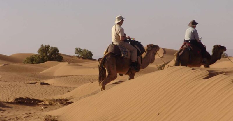 Sahara Desert 3 Days Shared Tours - Key Points
