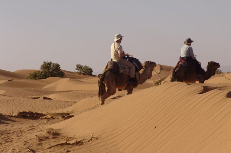 Sahara Desert 3 Days Shared Tours - Itinerary Highlights