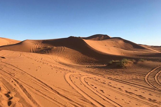 Sahara Desert 3 Days Trip From Marrakech to Fez - Health and Safety