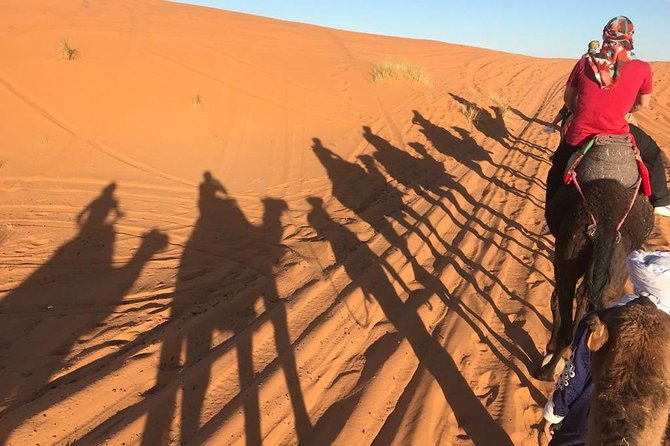 Sahara Desert 3 Days Trip From Marrakech to Fez - Booking Details