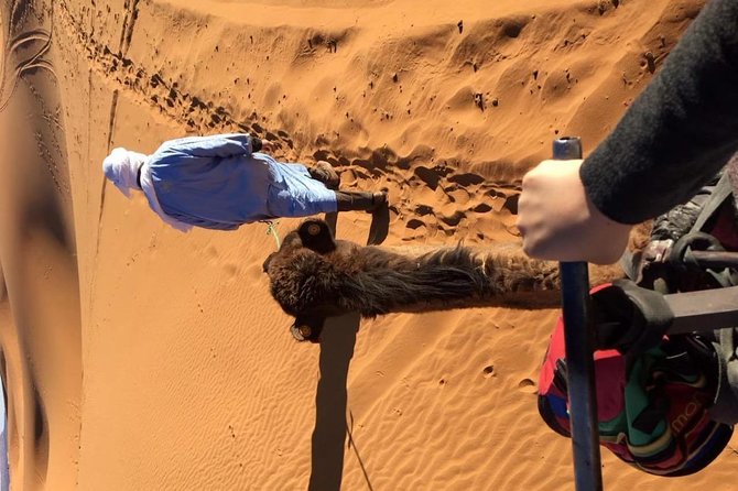 Sahara Desert 3 Days Trip From Marrakech to Fez - Highlights