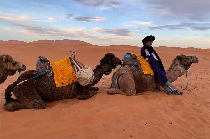 Sahara Desert + Atlas Mountains Tour - 3 Days 2 Nights - Fez to Marrakech - Group Size and Booking