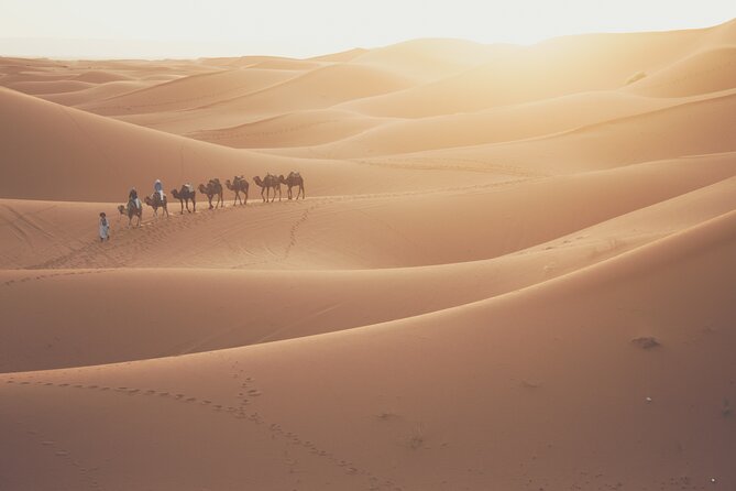 SAHARA DESERT: Shared 3 Day Tour From Marrakech via Dadès Valley - Pickup and Meeting Details