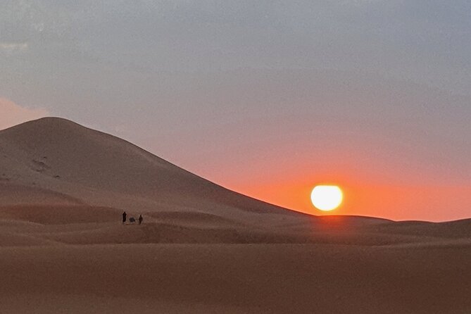 Sahara Desert Tour - 2 Days - Fez to Marrakech OR Return to Fez - Dining and Meals