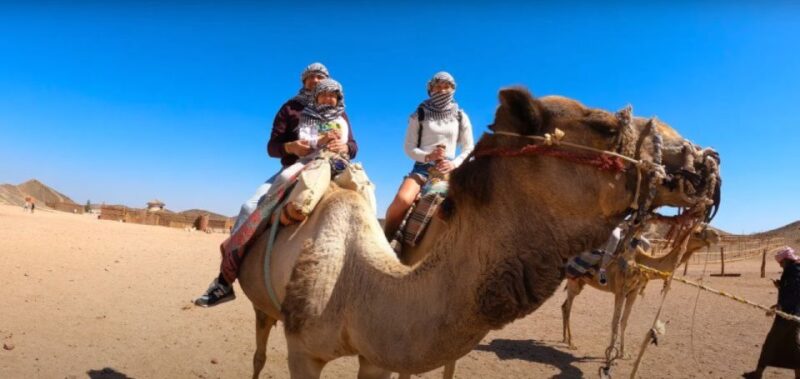 Sahl Hasheesh: Desert Stargazing by Jeep With BBQ Dinner - Itinerary Highlights