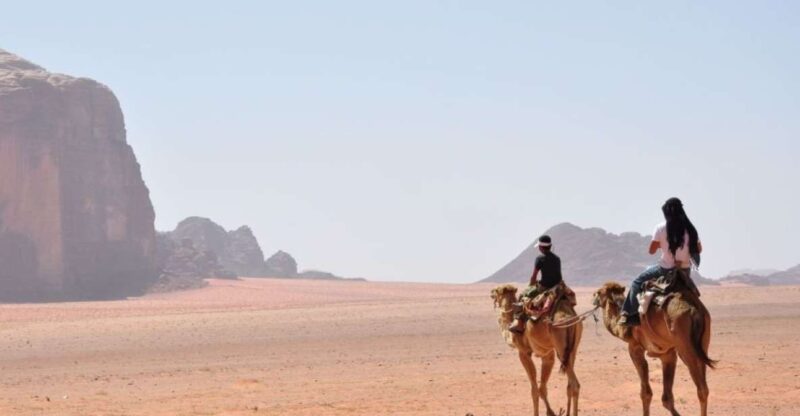 Sahl Hasheesh: Quad, Jeep, Buggy, Camel W/ Dinner & Show - Itinerary and Highlights