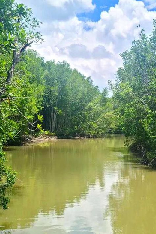 Sai Gon – Can Gio – Monkey Island 1 Day Tour - Itinerary Highlights
