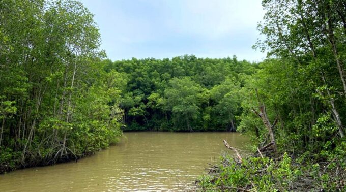 Sai Gon – Can Gio – Monkey Island 1 Day Tour - Pickup & Drop-off