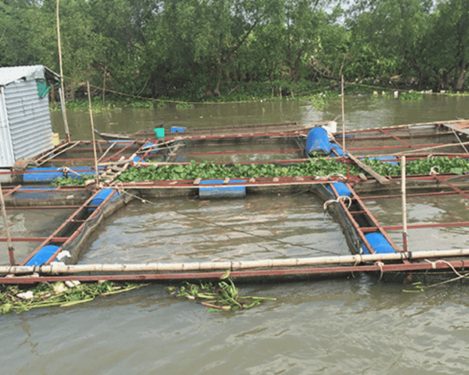 Saigon: Unique Local Tour in My Tho - Ben Tre - Frequently Asked Questions