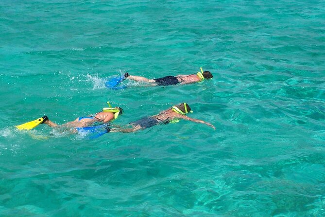 Sail and Snorkel at Cades Reef - Accessibility and Restrictions
