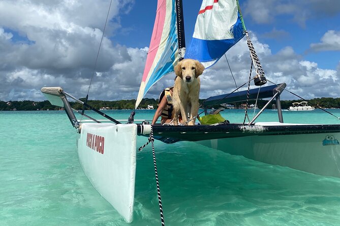 Sail Away! Hobie Cat Tour in the Lagoon - Accessibility and Restrictions