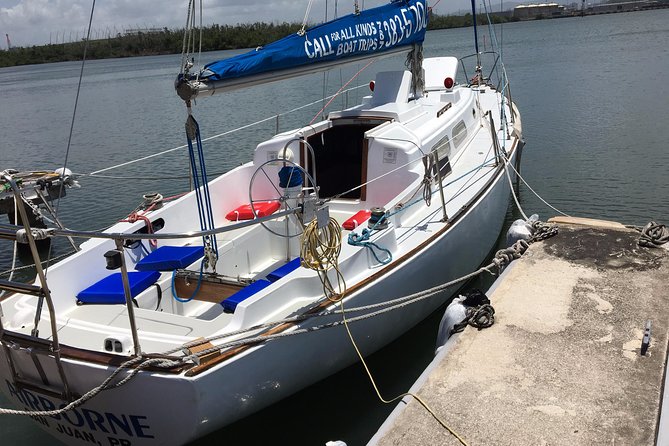 Sail Away: Private Scenic Excursion From San Juan - Ideal Audience for the Experience