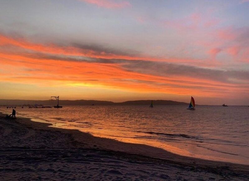 Sail on a Catamaran: Discover Paracas Bay - Key Points