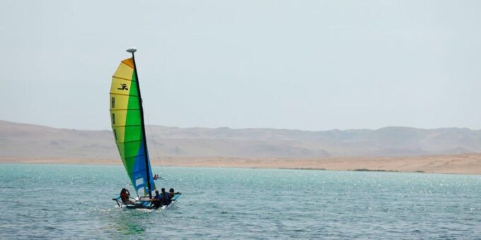 Sail on a Catamaran: Discover Paracas Bay - Dolphin Watching Opportunities