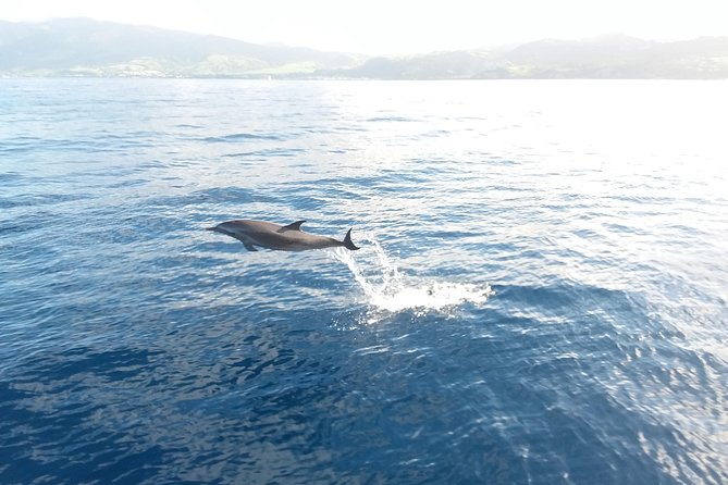 Sail/Snorkel Adventure From Sapphire Marina,Stt NO Crowds~ 6 GUEST MAX - Booking and Cancellation Policy