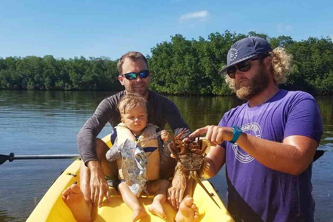 Sail, Snorkel, Kayak, Dolphins, and Lunch With Honest Eco - Boat Tour and Wildlife