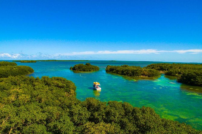 Sail, Snorkel, Kayak, Dolphins, and Lunch With Honest Eco - Included Amenities