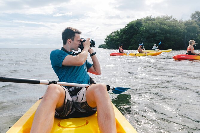 Sail, Snorkel, Kayak, Dolphins, and Lunch With Honest Eco - Fitness and Accessibility
